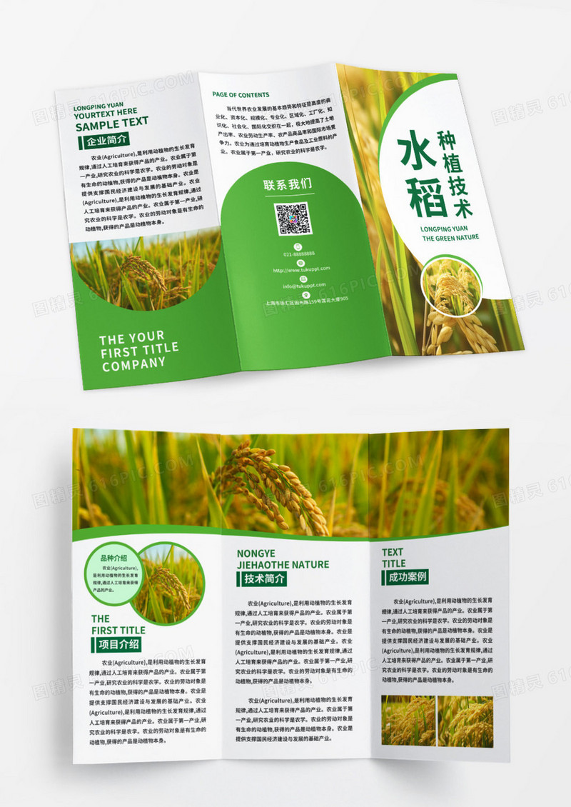 绿色简洁创意水稻种植技术农业三折页设计模板